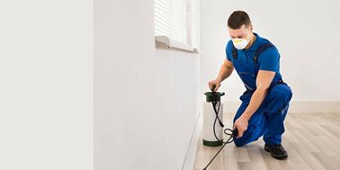 De-Infestation Treatment