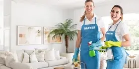 Domestic Cleaning